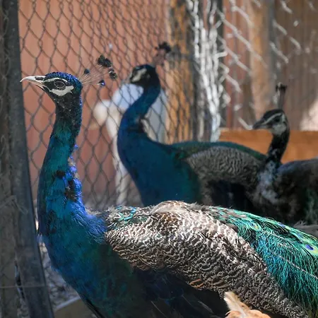 Farma Torre Vendicari *